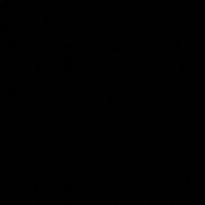 Meet your Posher, Sasha